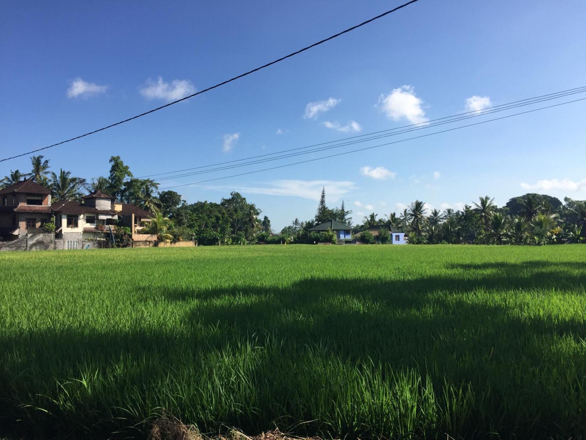 Ratna Villa Ubud Cameră foto