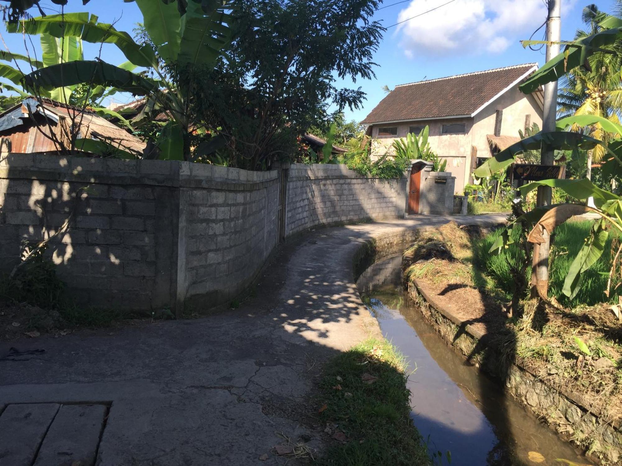 Ratna Villa Ubud Cameră foto