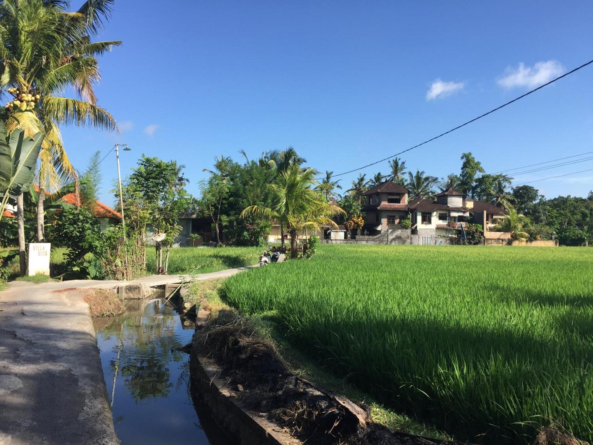 Ratna Villa Ubud Cameră foto
